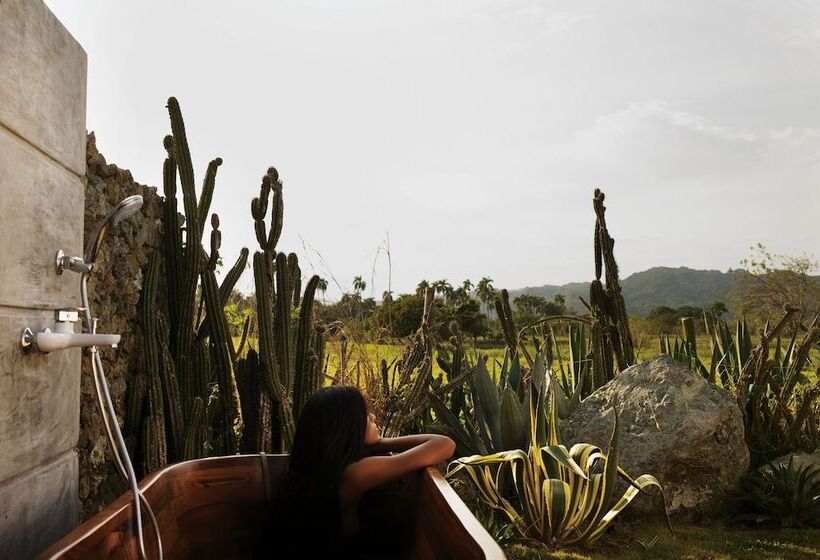 هتل Green Land Bubble Glamping By Mint