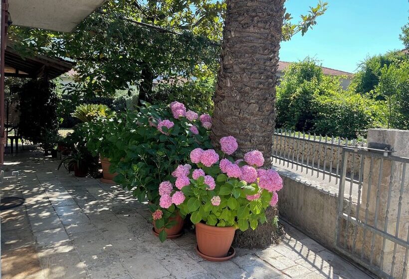 Panzió Room In House S4 Double Room In The Centre Of Jelsa With Private Bathroom Next Door