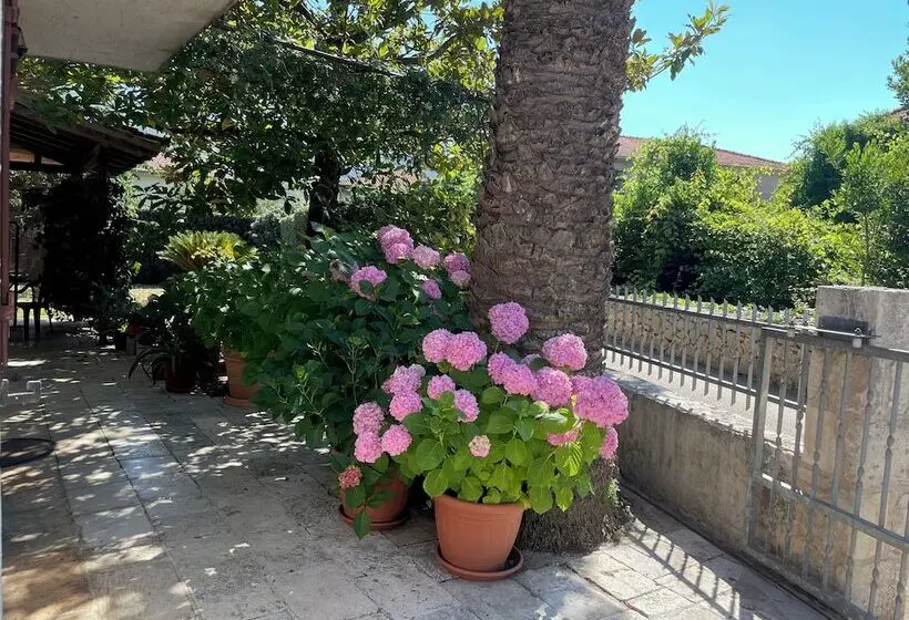 پانسیون Room In House S4 Double Room In The Centre Of Jelsa With Private Bathroom Next Door