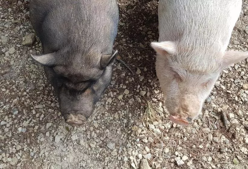 Lomakeskus Le Domaine D Alezen