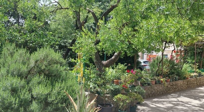 Hotel Studio Apartments Roza A Charming Oasis In The Centre Of Makarska