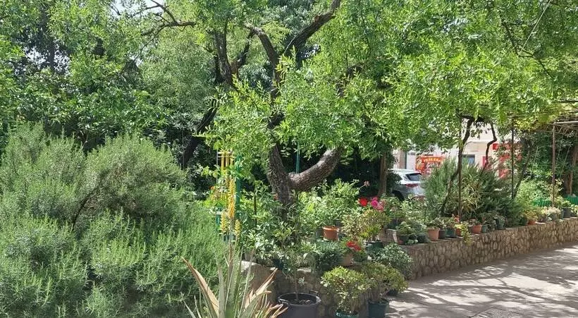 هتل Studio Apartments Roza   A Charming Oasis In The Centre Of Makarska