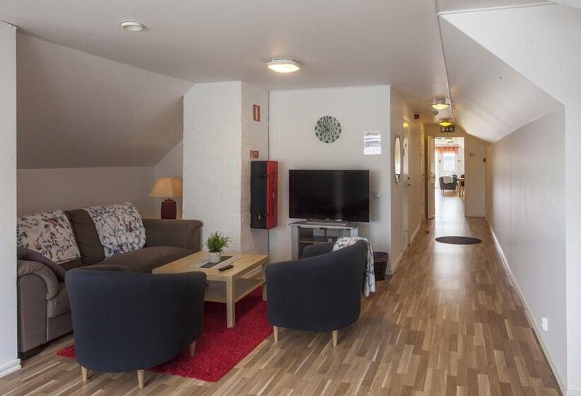 פנסיון Bruksparkens Hostel