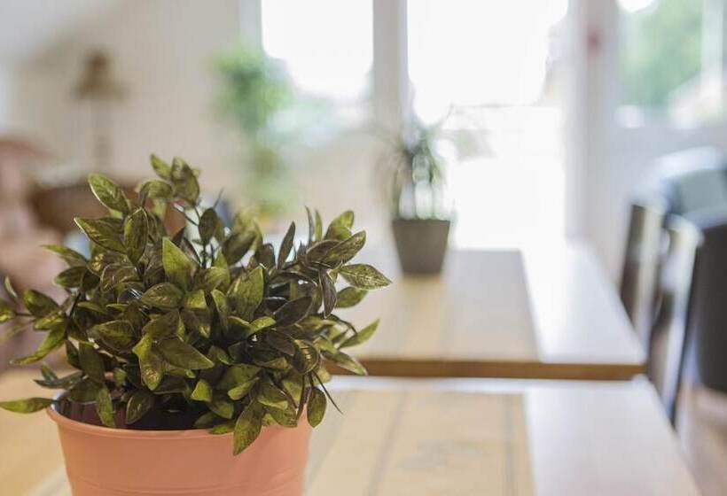 פנסיון Bruksparkens Hostel