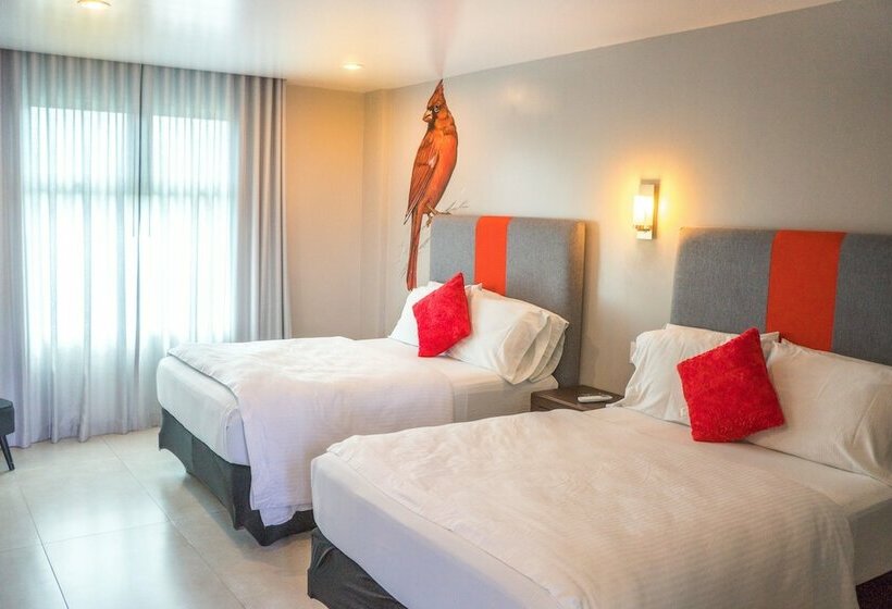 Vuestra Casa Hotel Boutique