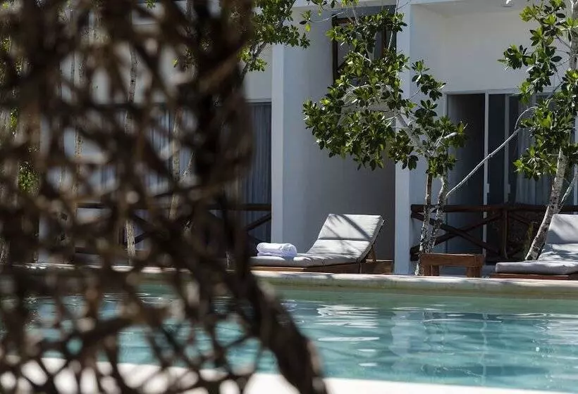 Hotelli Sanyama Holbox