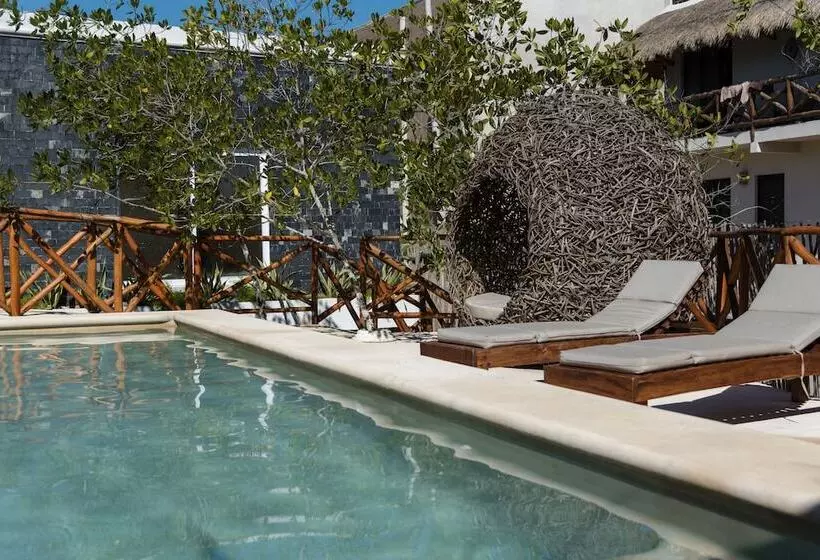Hotelli Sanyama Holbox