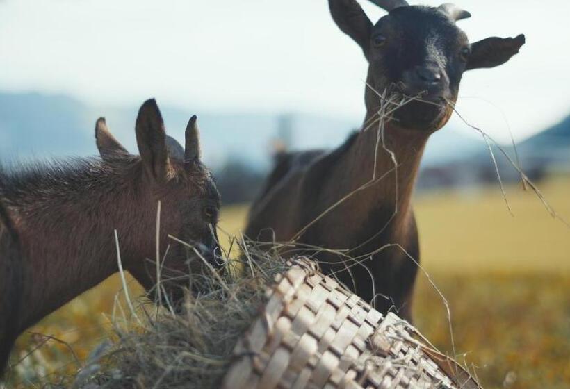 Bauernhof Hotel Oberschwarzach