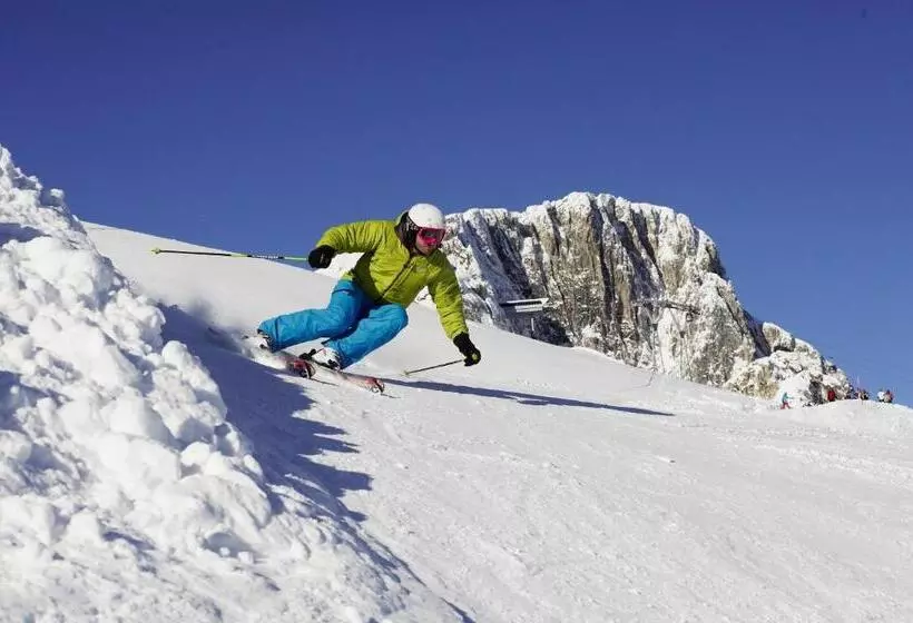 ベッドアンドブレックファースト Appartements Fritz Sagmeister