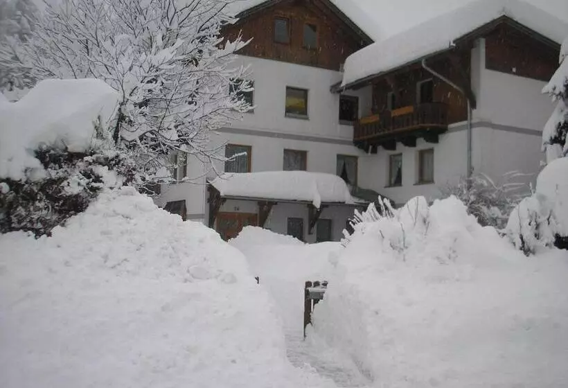 ベッドアンドブレックファースト Appartements Fritz Sagmeister