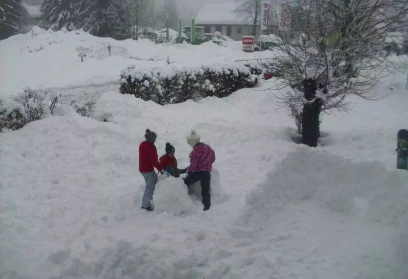 ベッドアンドブレックファースト Appartements Fritz Sagmeister