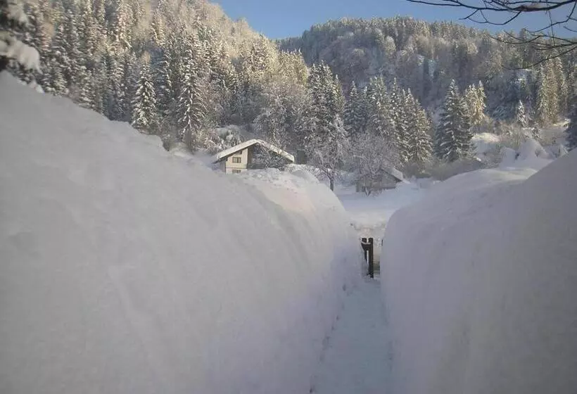 ベッドアンドブレックファースト Appartements Fritz Sagmeister