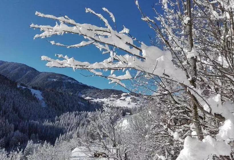 민박 Garni Haus Anita