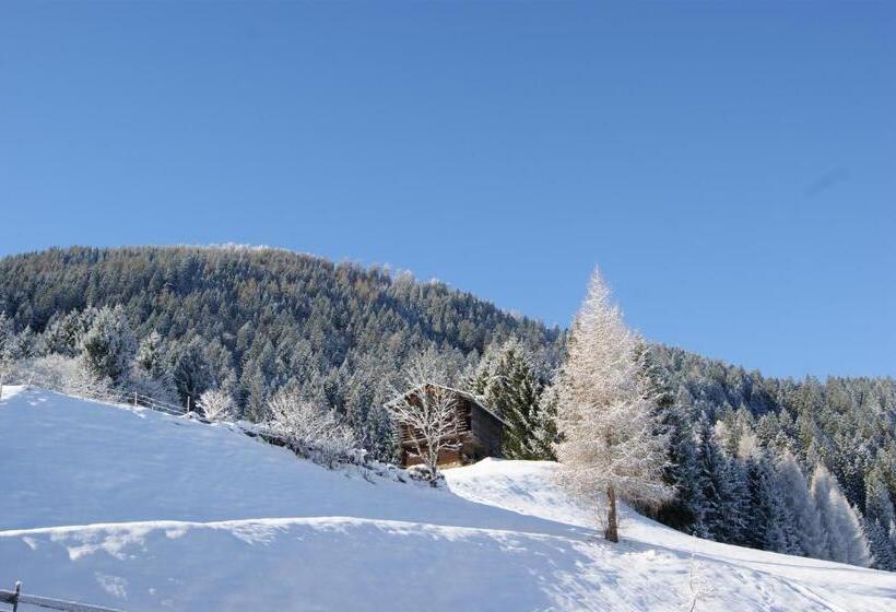 مبيت وإفطار Garni Haus Anita