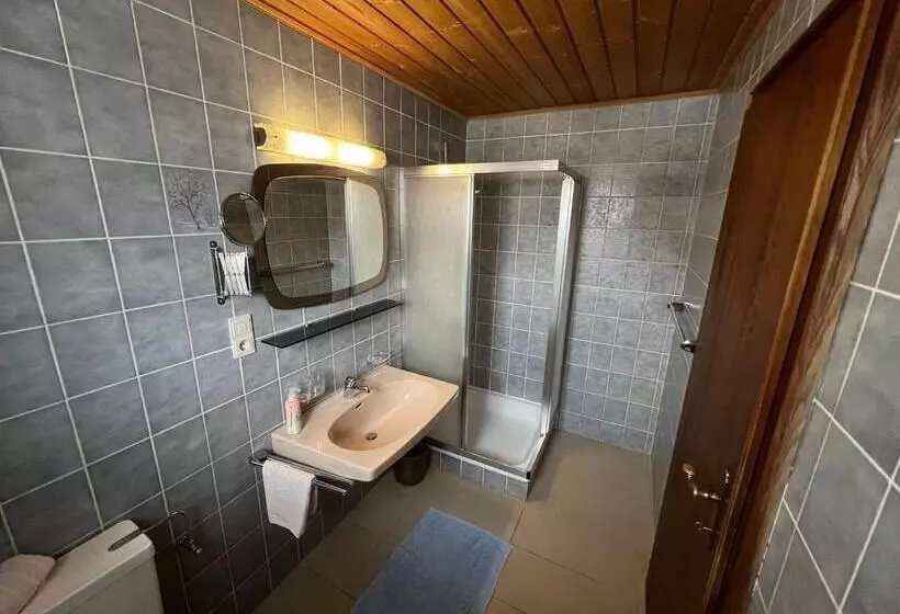 Aamiaismajoitus (B&B) Pension Aloisl`s Harmonie