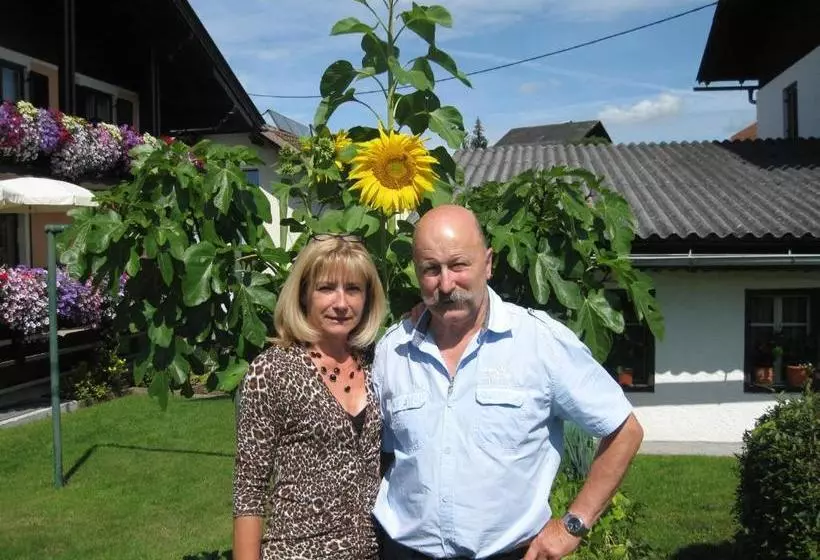 Bed and Breakfast Gästehaus Stroitz