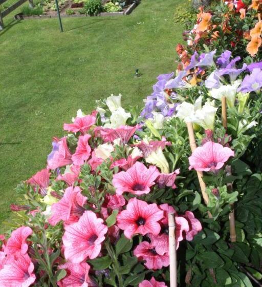 Bed and Breakfast Gästehaus Stroitz