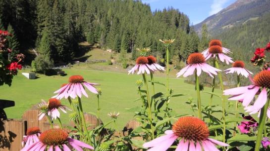 Landhaus St. Hubertus
