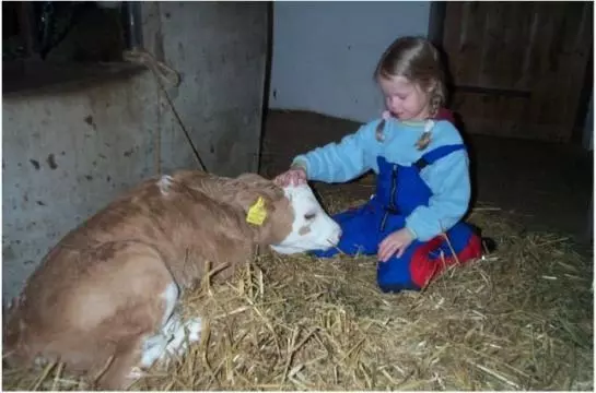 Bauernhof Gasteighof