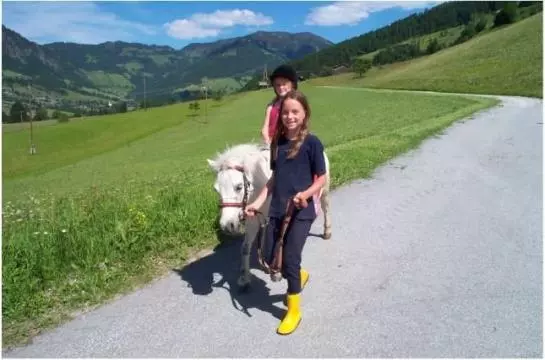 Bauernhof Gasteighof