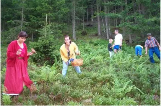 Bauernhof Gasteighof