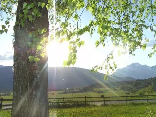 Bauernhof Herzogbauer