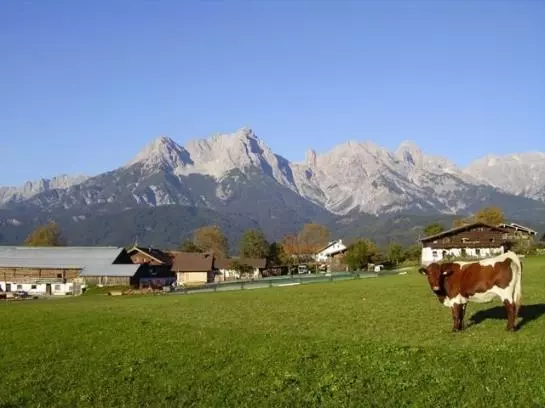 Bauernhof Herzogbauer