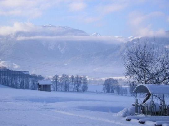 Bauernhof Herzogbauer