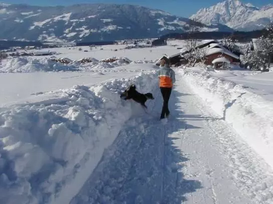 Bauernhof Herzogbauer