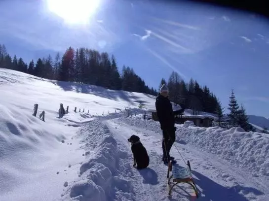 Bauernhof Herzogbauer