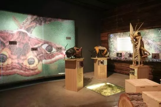 Bauernhof Maierhof Kaunertal