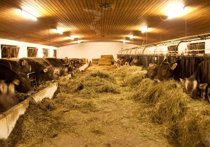 ホテル Bruggerhof