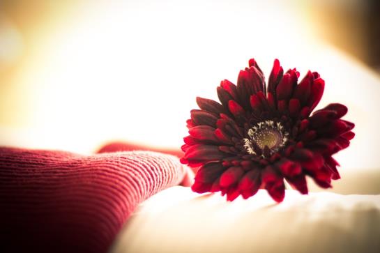 펜션 Gasthof Einhorn Schaller