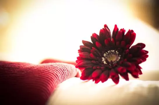 Пансион Gasthof Einhorn Schaller