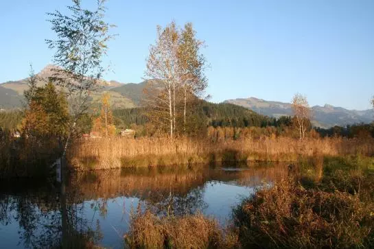 Bed and Breakfast Foidl Pension