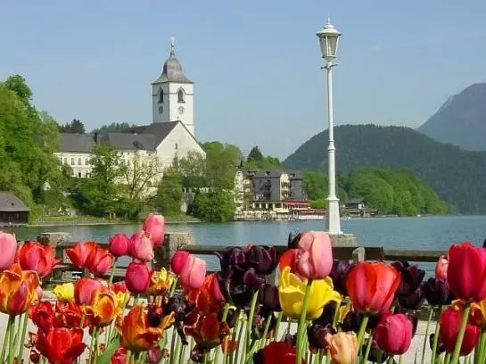 فندق Gästehaus Linderhof