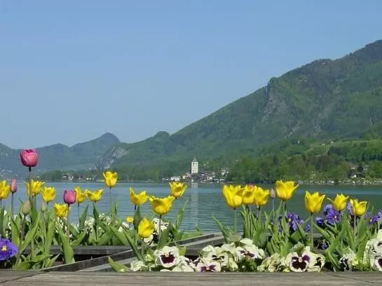 فندق Gästehaus Linderhof
