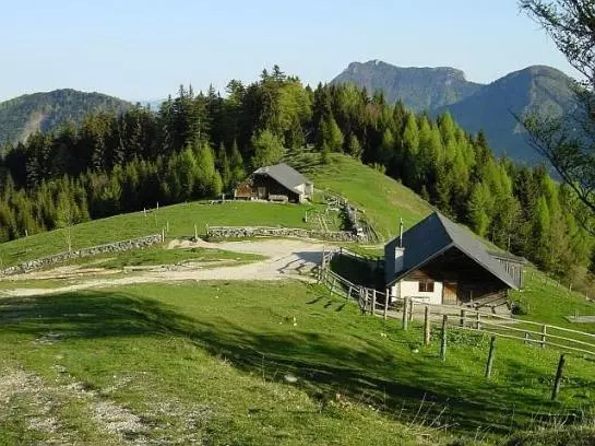 فندق Gästehaus Linderhof