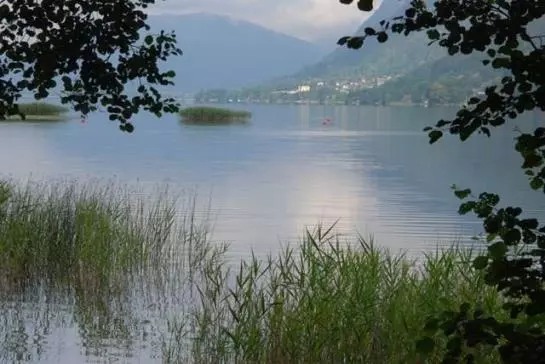 Пансион Naturgasthof Schlosswirt