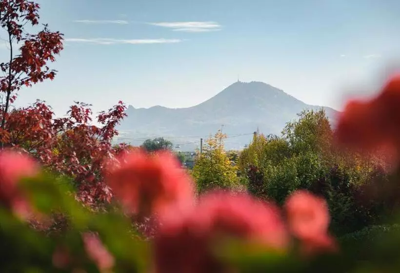 پانسیون Gasthof Brandstätter