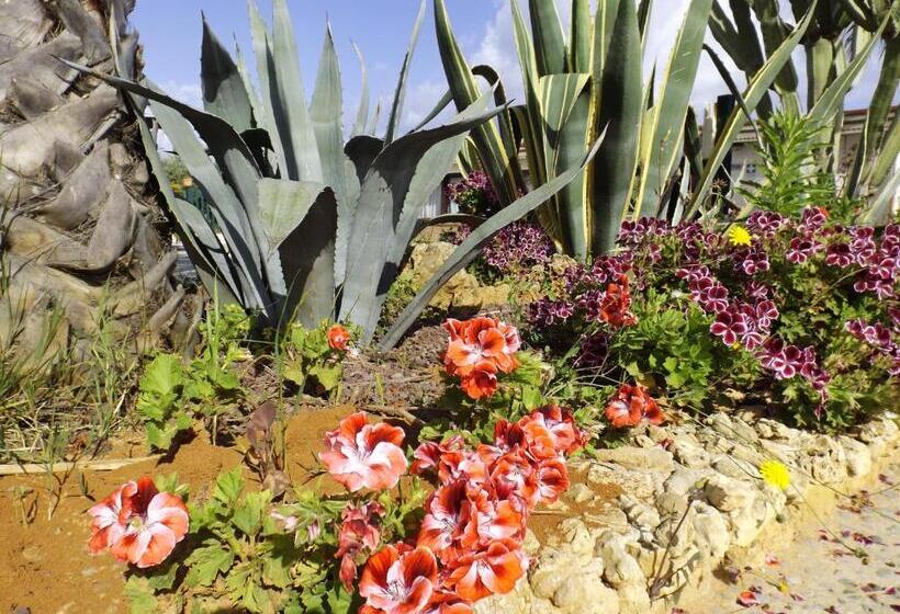 Agriturismo Arabesque