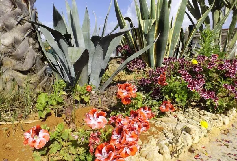 Agriturismo Arabesque