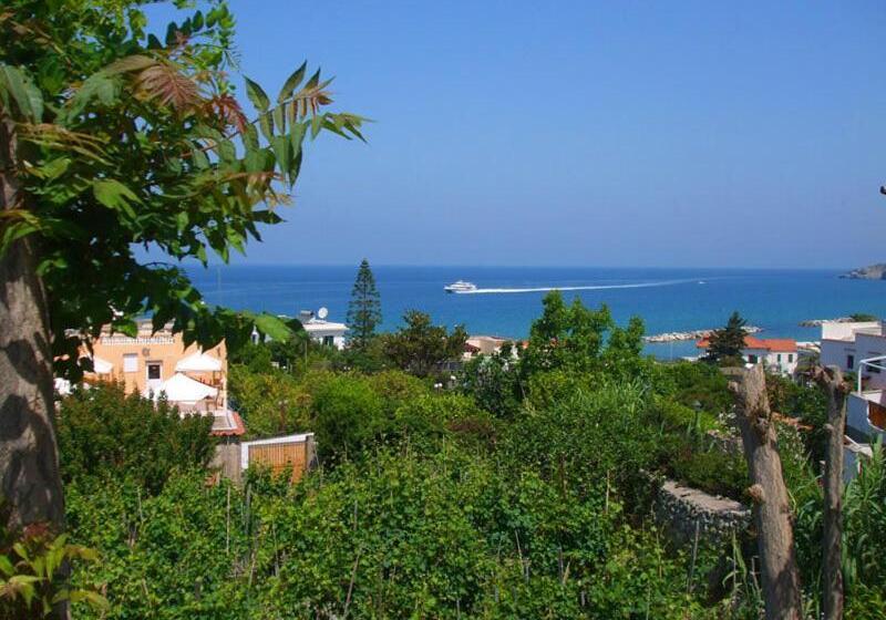 Albergo Villa Hibiscus