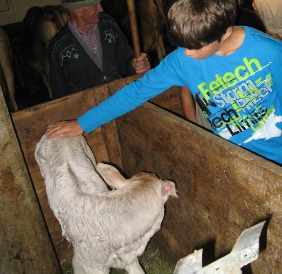 Kinderbauernhof Leneler