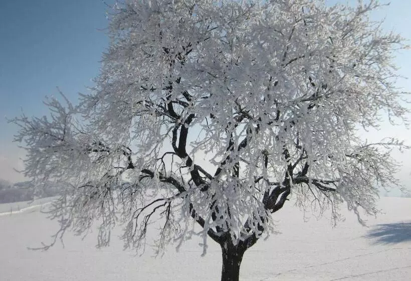 צימר Pension Kreuzinger, 5310 Tiefgraben