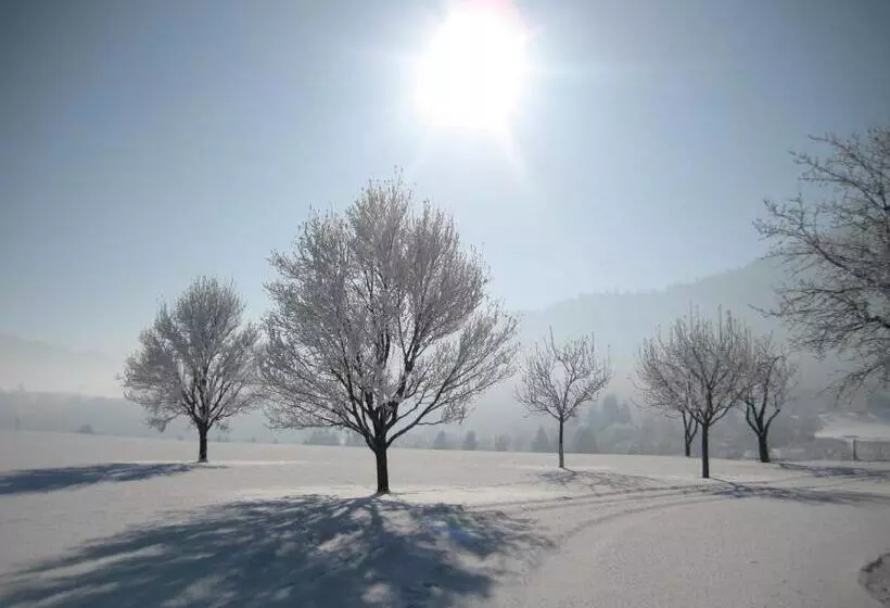 צימר Pension Kreuzinger, 5310 Tiefgraben