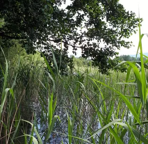 צימר Pension Kreuzinger, 5310 Tiefgraben