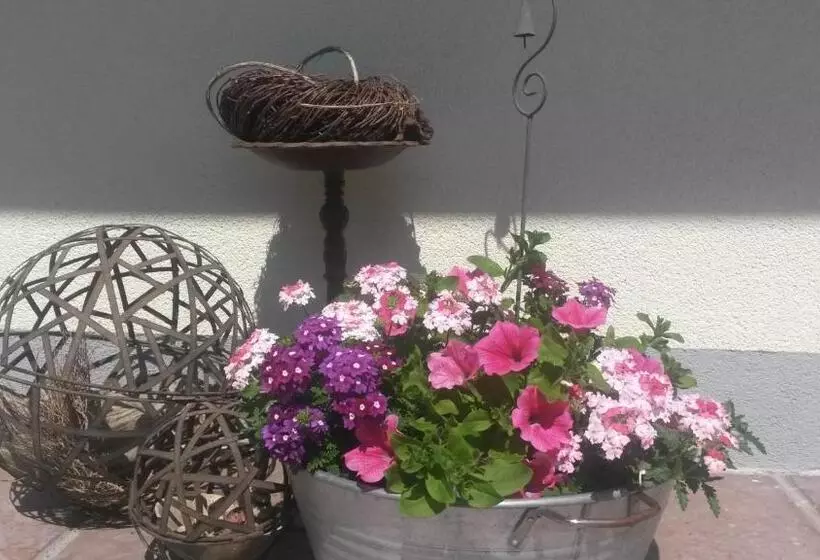 צימר Pension Kreuzinger, 5310 Tiefgraben