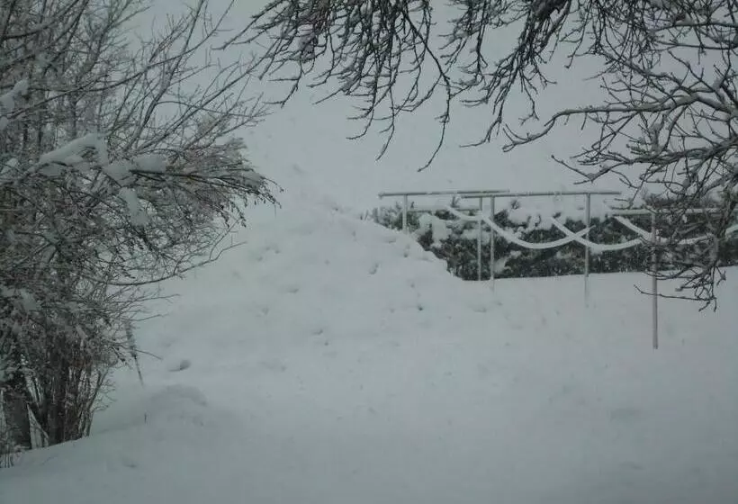 ベッドアンドブレックファースト Pension Wald