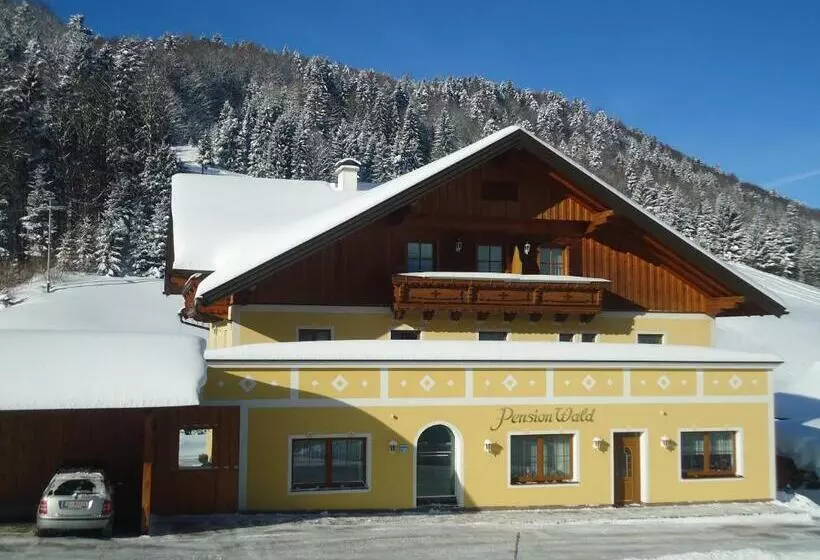 ベッドアンドブレックファースト Pension Wald